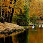 Herbstteich