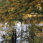 herbstteich