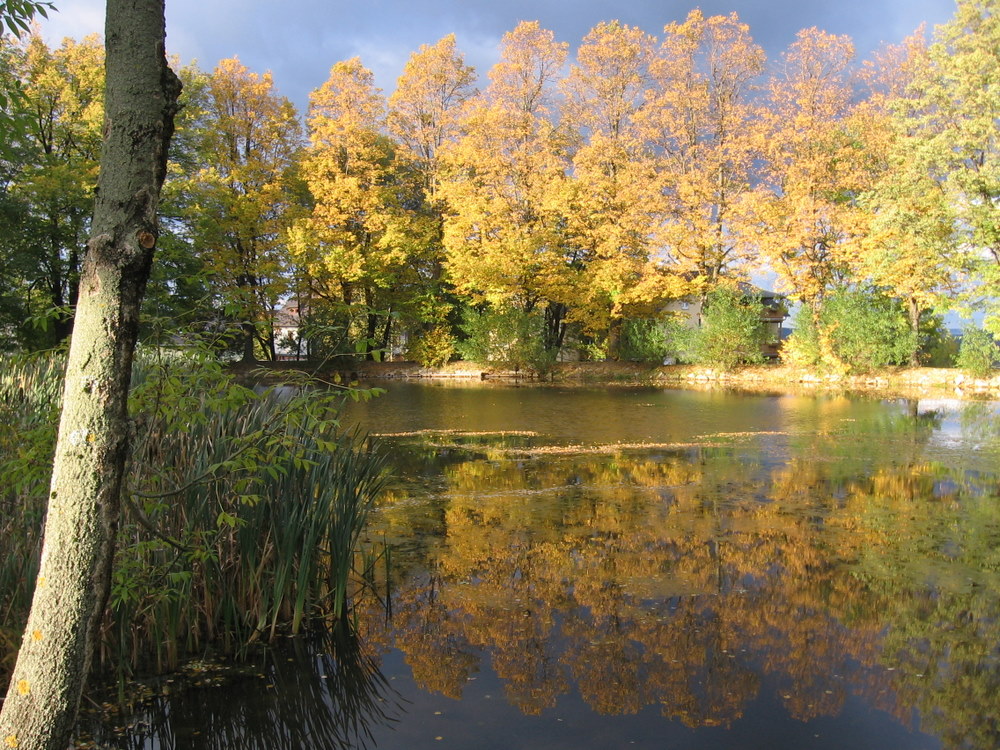 Herbstteich