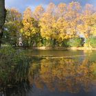 Herbstteich