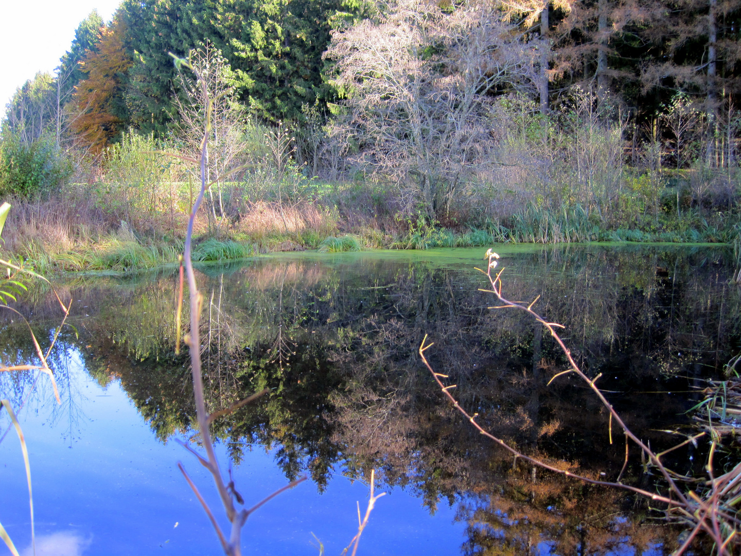 Herbstteich