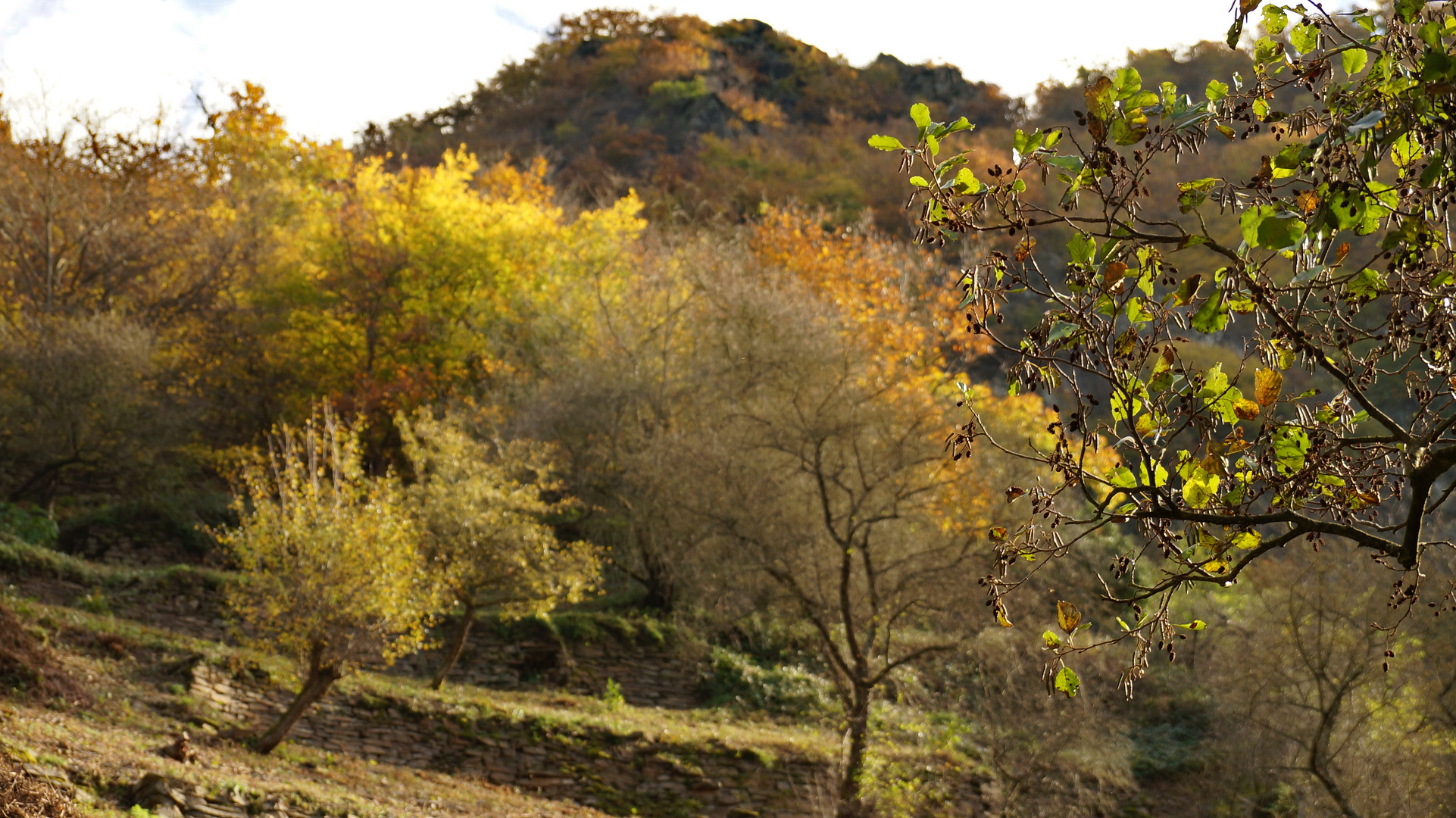 Herbstterrassen