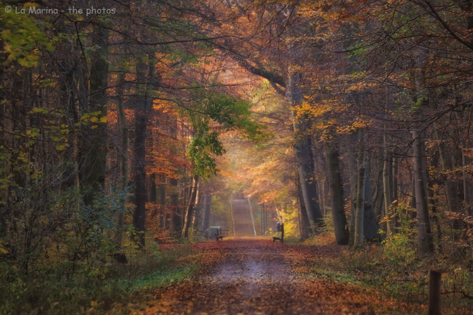 Herbsttheater