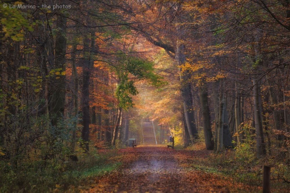 Herbsttheater