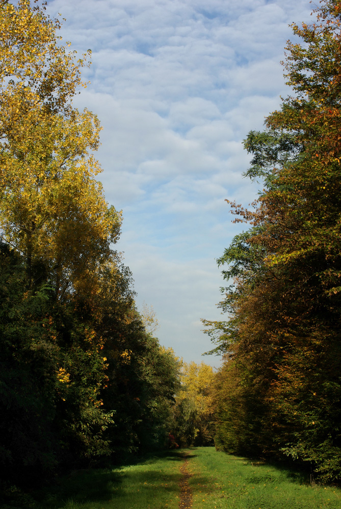 Herbsttöne