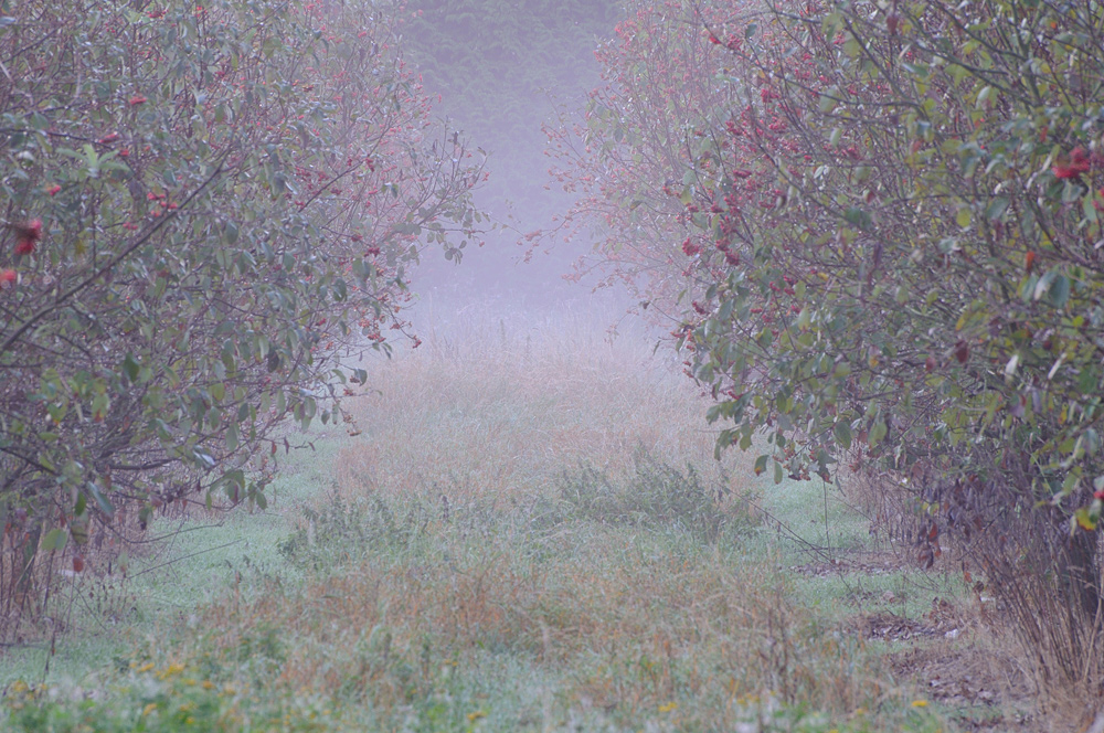 Herbsttöne