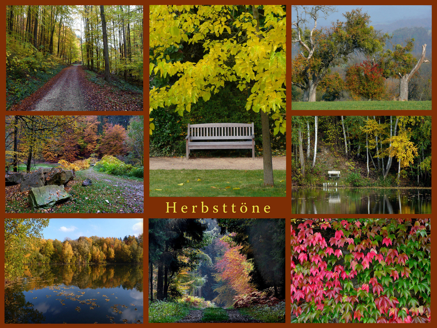 Herbsttöne