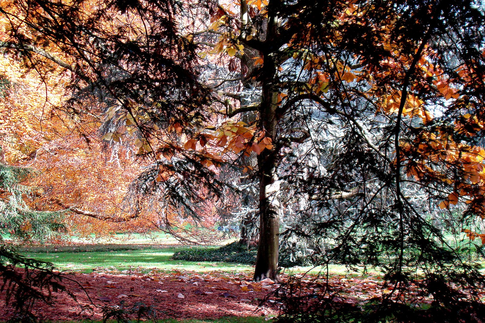 Herbsttöne