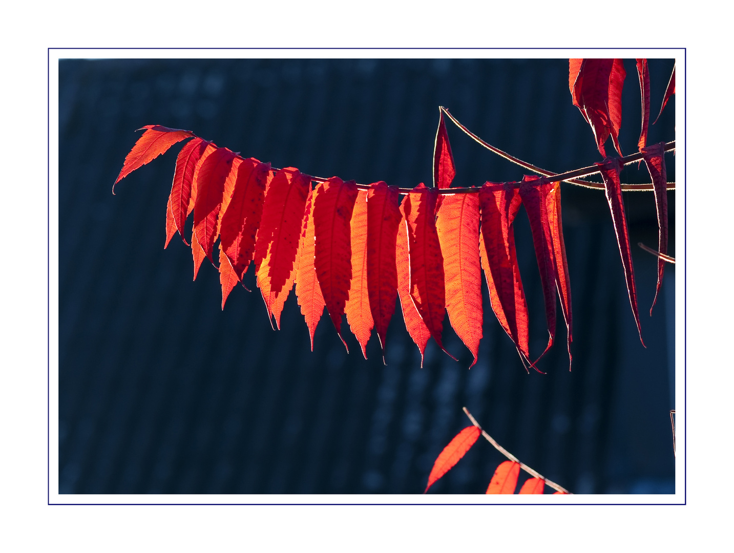 Herbsttöne