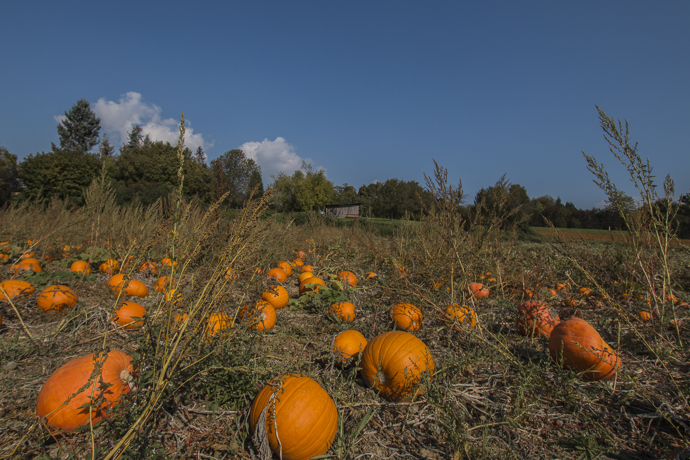 Herbsttöne