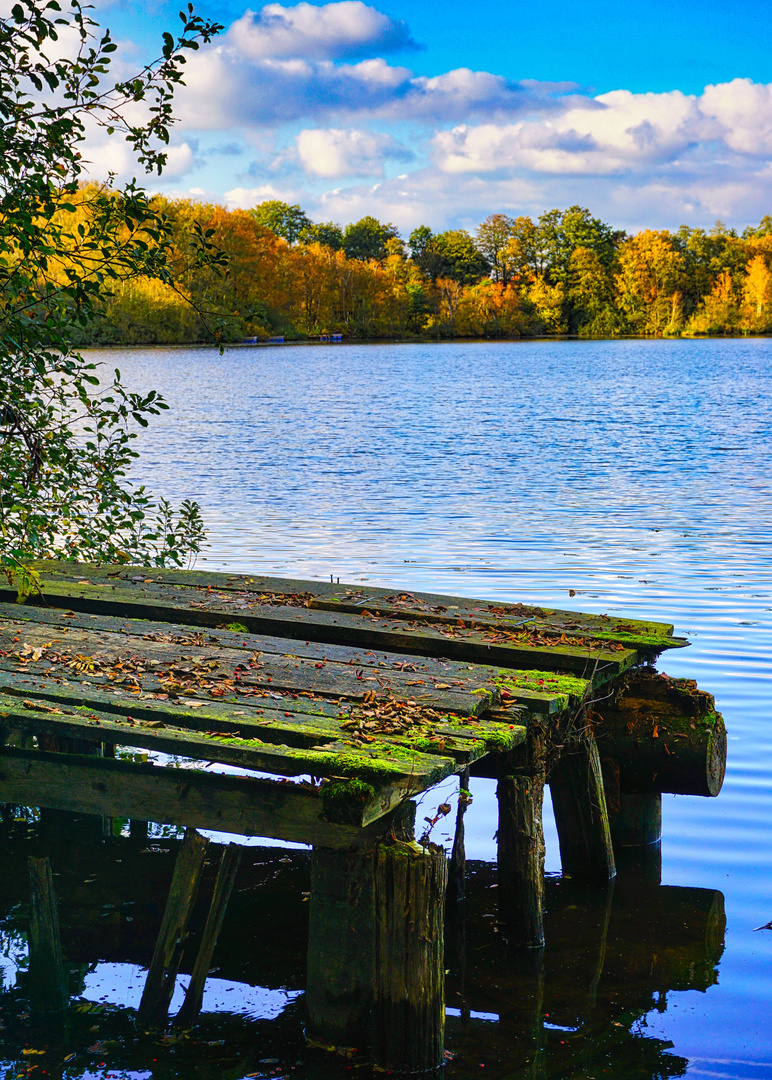 Herbsttöne