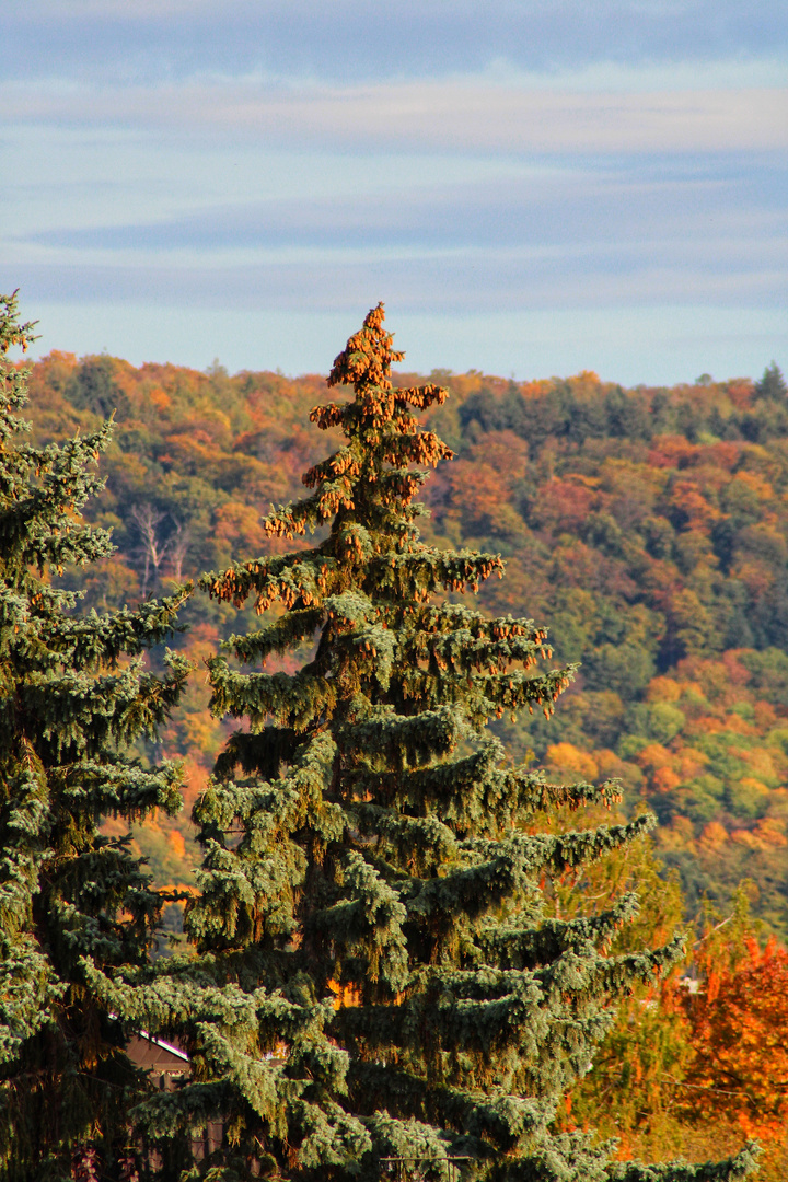 Herbsttöne 