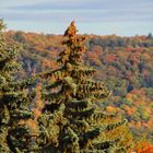 Herbsttöne 