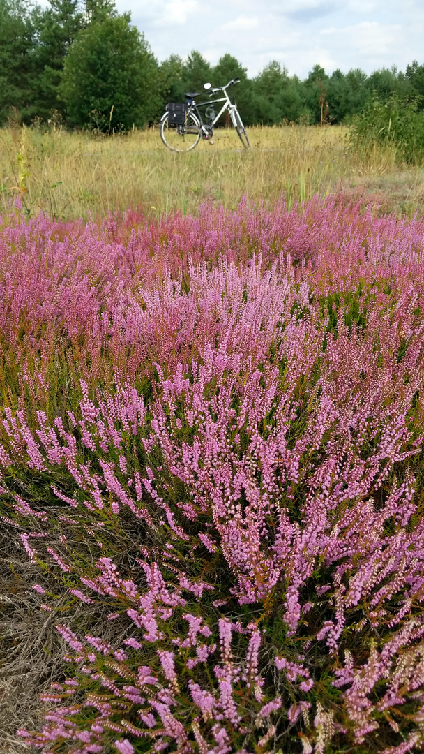 Herbsttour