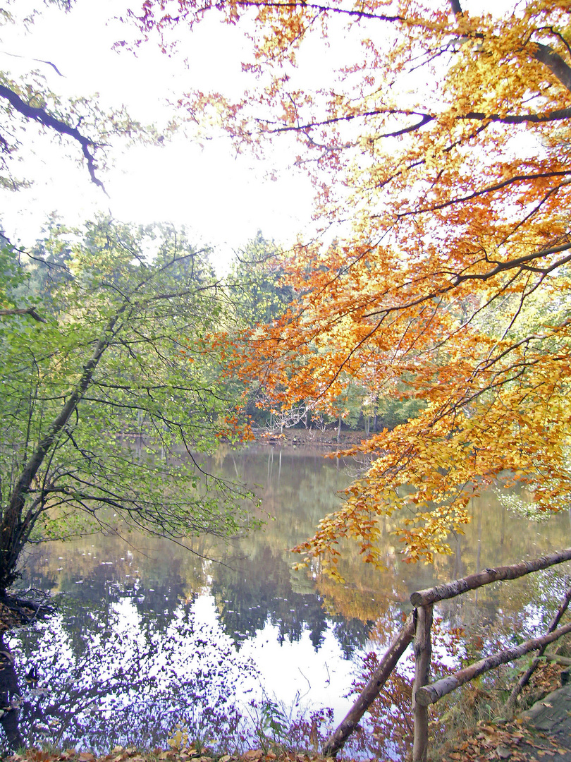 Herbstträume