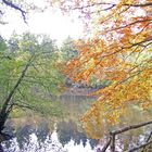 Herbstträume