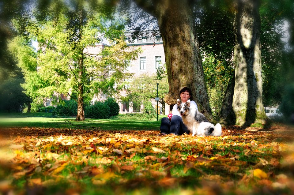 Herbstträume