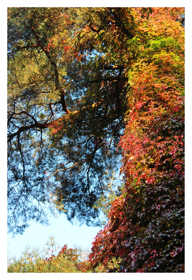 Herbstträume