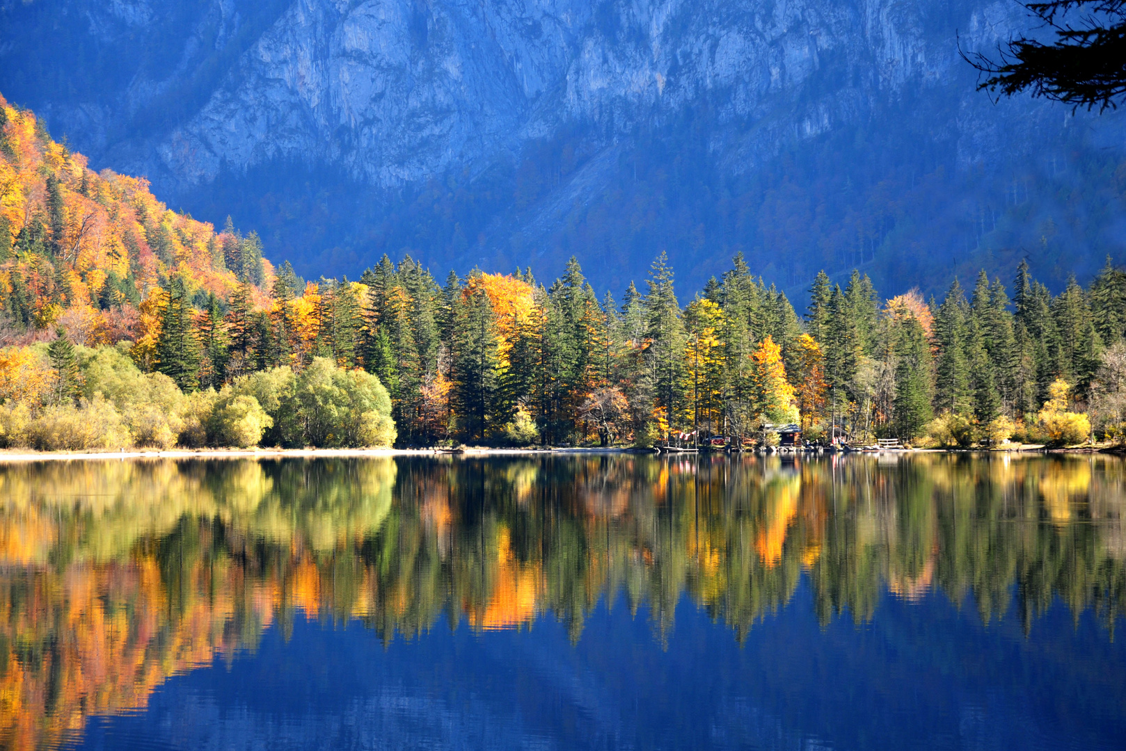 Herbstträume