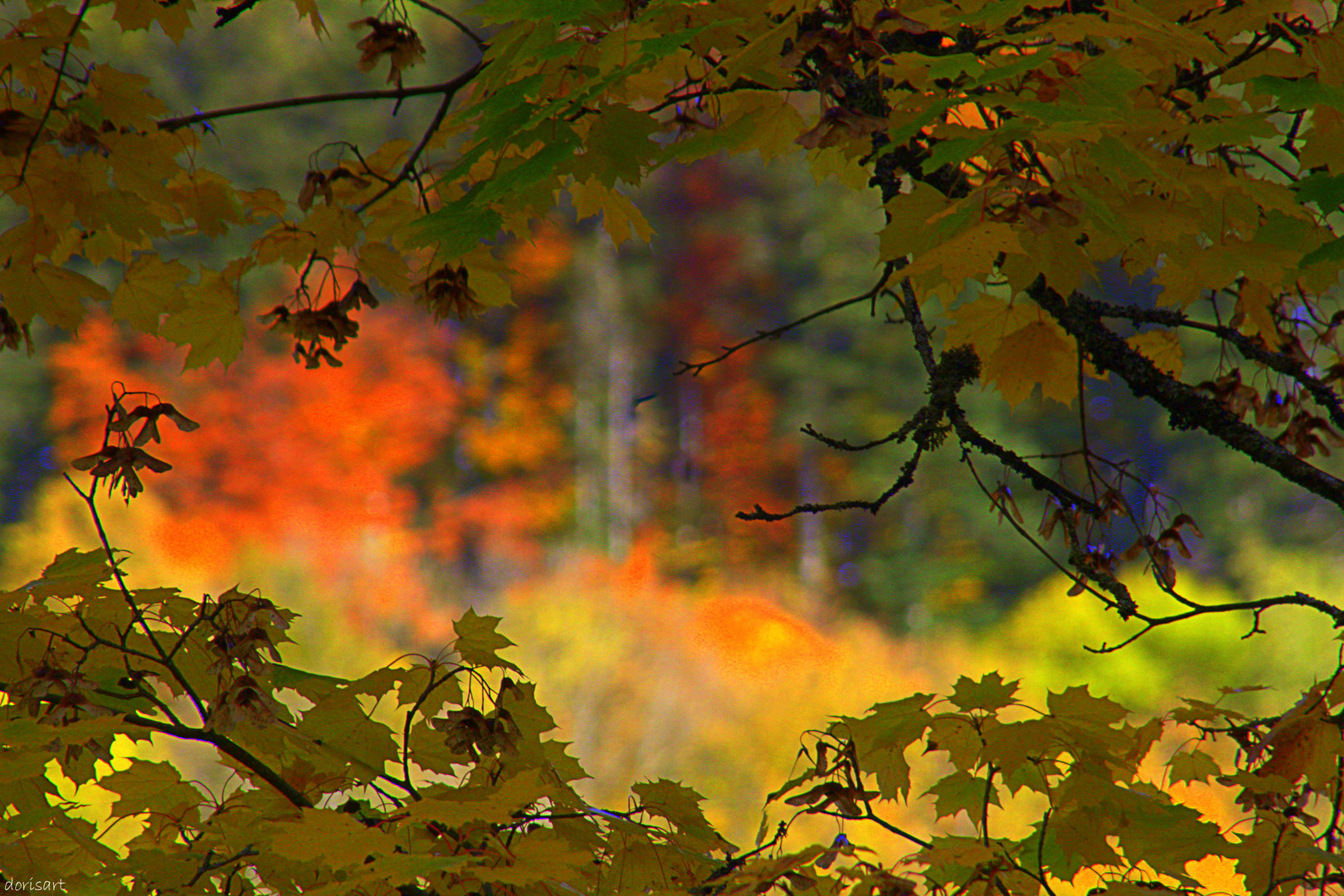 Herbstträume