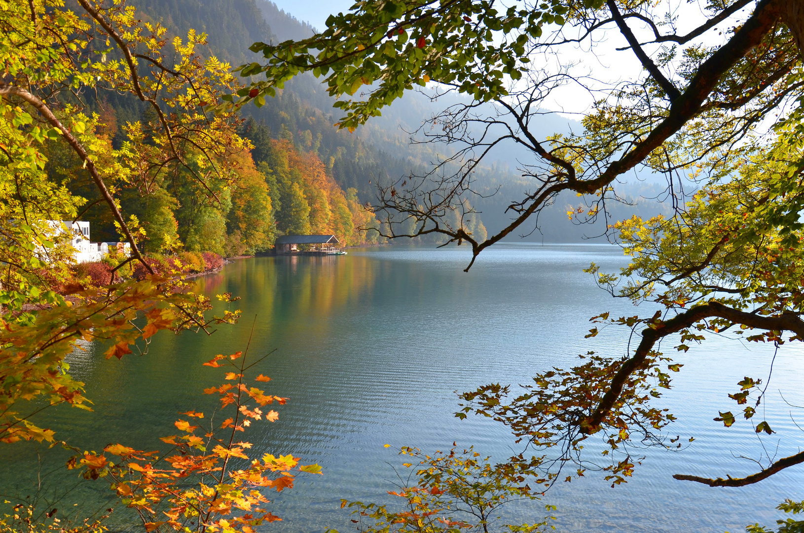 Herbstträume