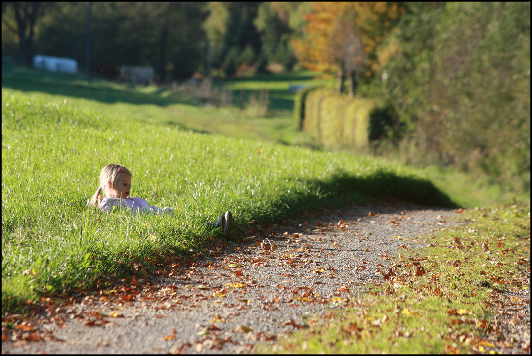 Herbstträume