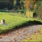 Herbstträume