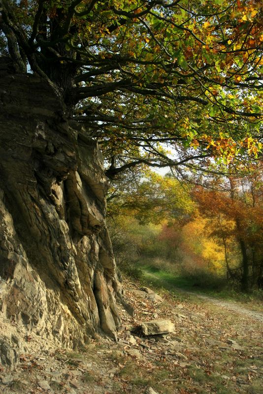 Herbstträume