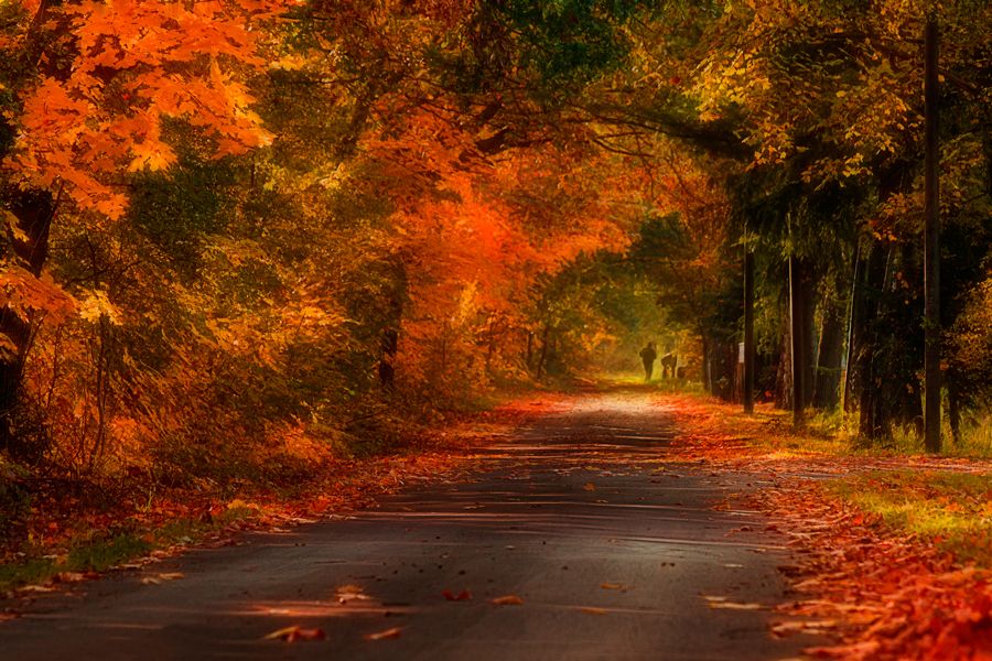 Herbstträume