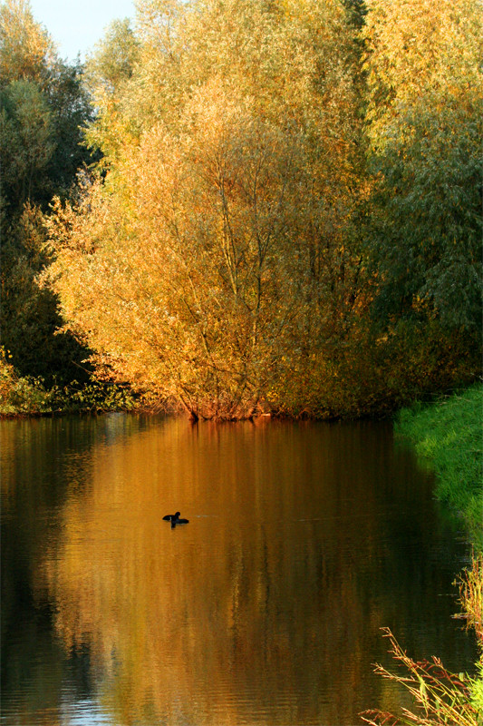 Herbstträume