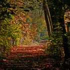 ~HerbStTräuMe~