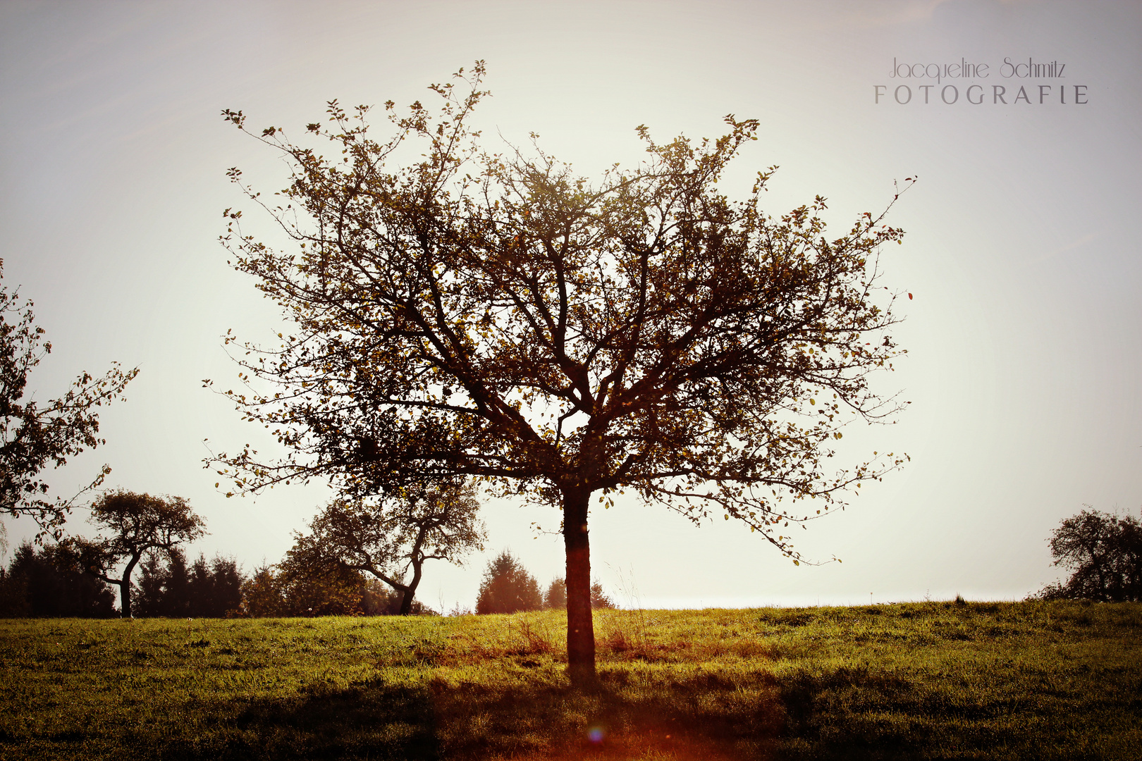 Herbstträume