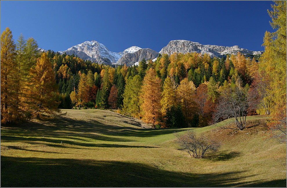 Herbstträumerei