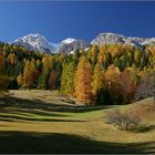 Herbstträumerei