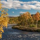 Herbstträumerei