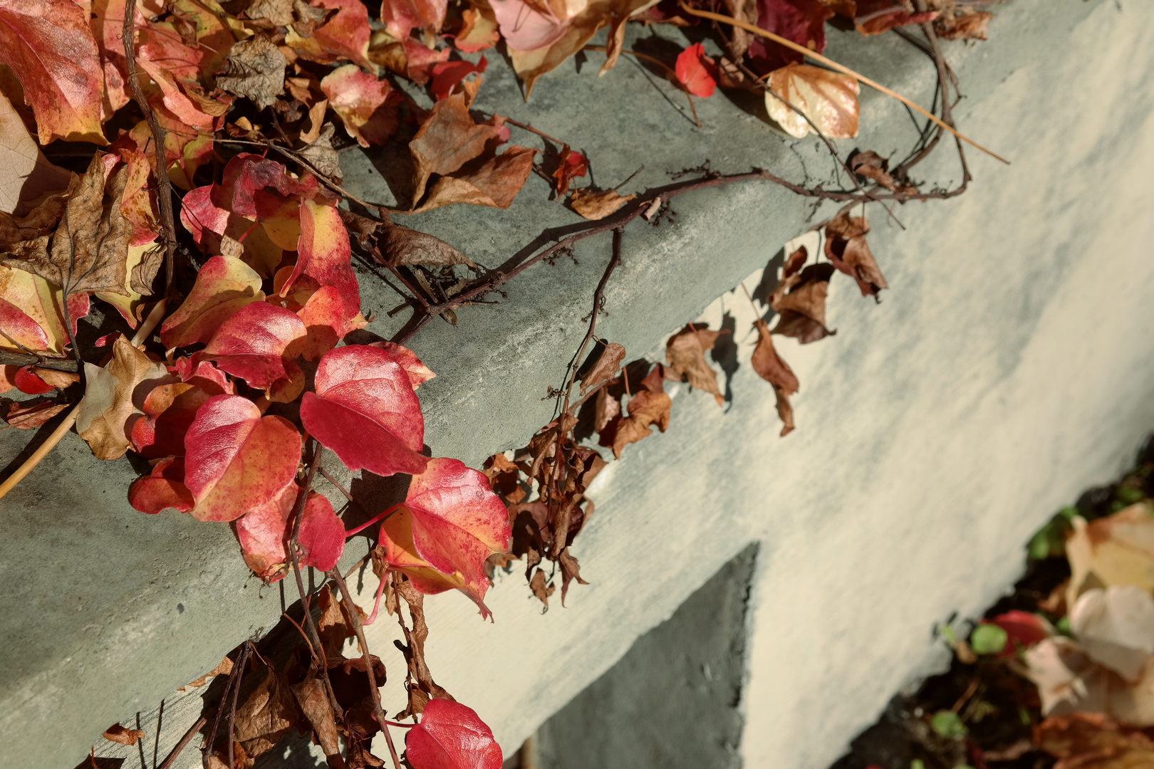 Herbstträumereien