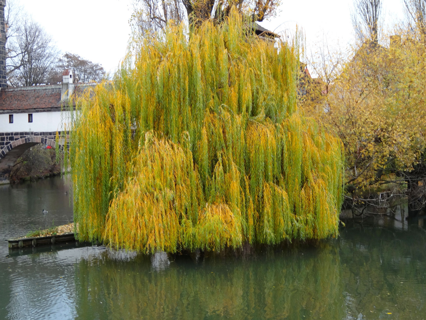 Herbsttrauer