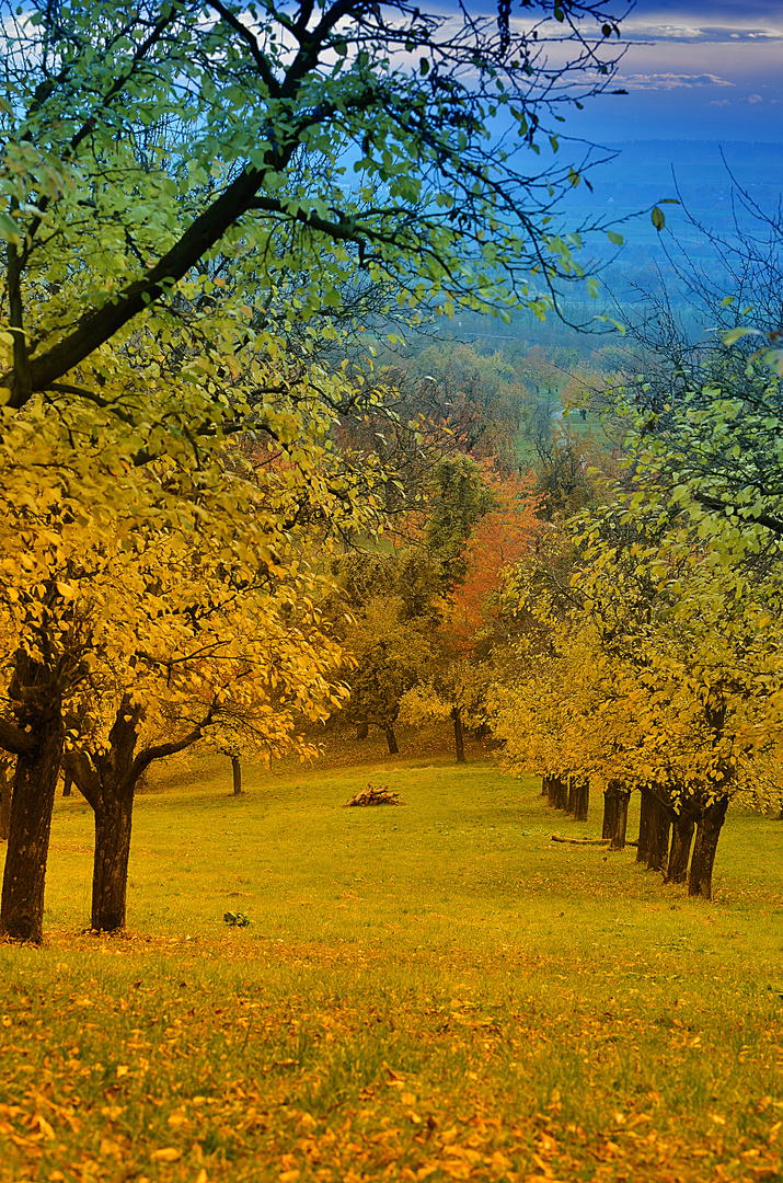 "Herbsttraum"