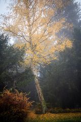 Herbsttraum