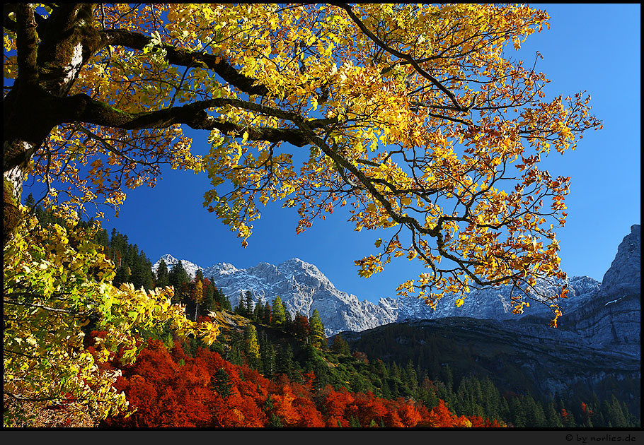 Herbsttraum* Foto &amp; Bild | europe, Österreich, tirol Bilder auf ...