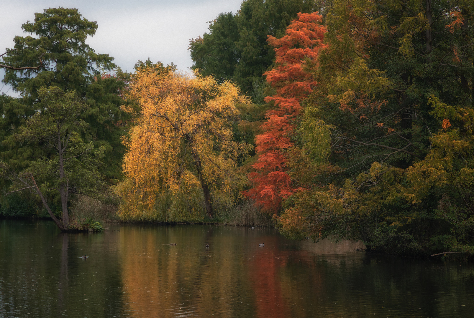 Herbsttraum ...