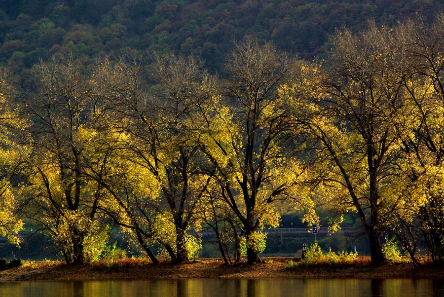 Herbsttraum Foto &amp; Bild | jahreszeiten, herbst, natur Bilder auf ...