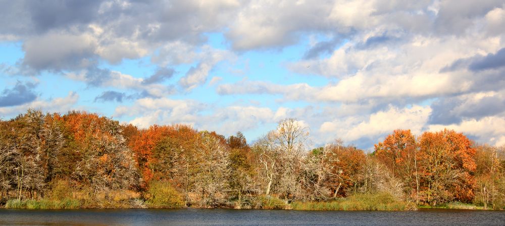 Herbsttraum im Müritz-Nationalpark von aberg1969 