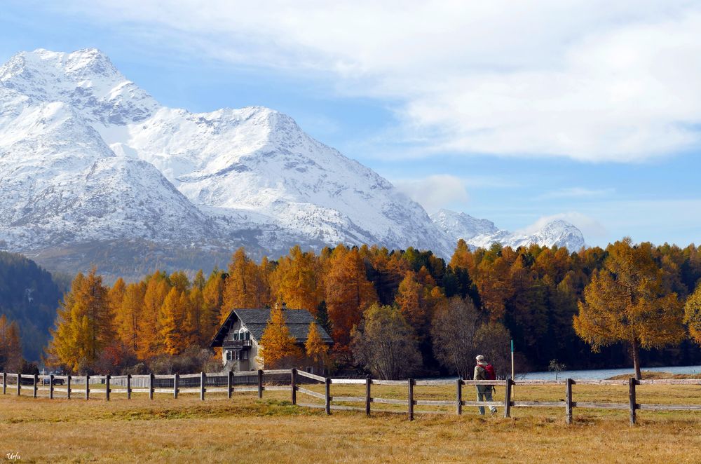 Herbsttraum in Sils Maria  (1404)