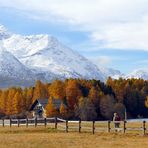 Herbsttraum in Sils Maria  (1404)