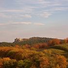 Herbsttraum unterm Regenstein