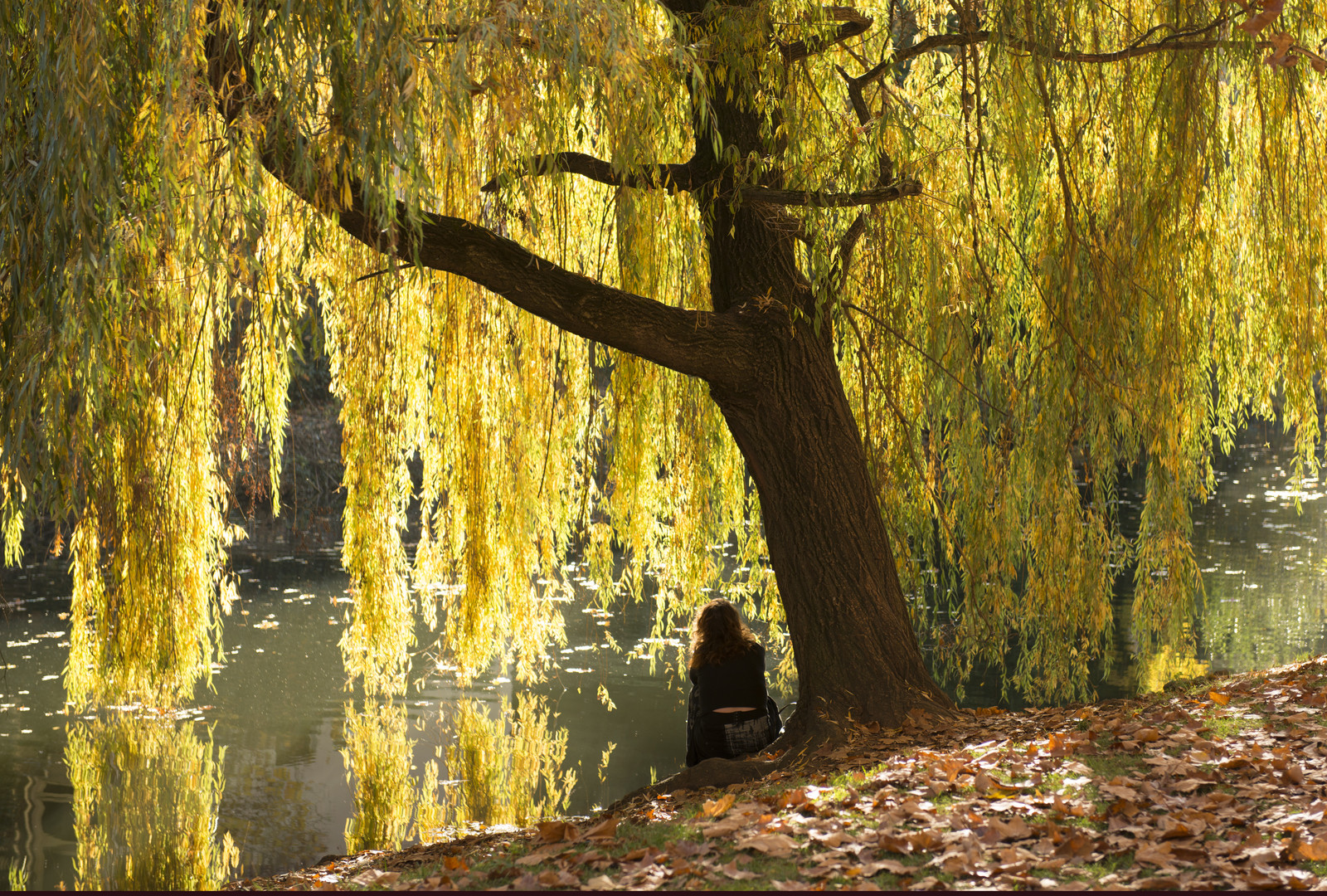 Herbsttraumplatz