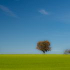 Herbsttraumtag