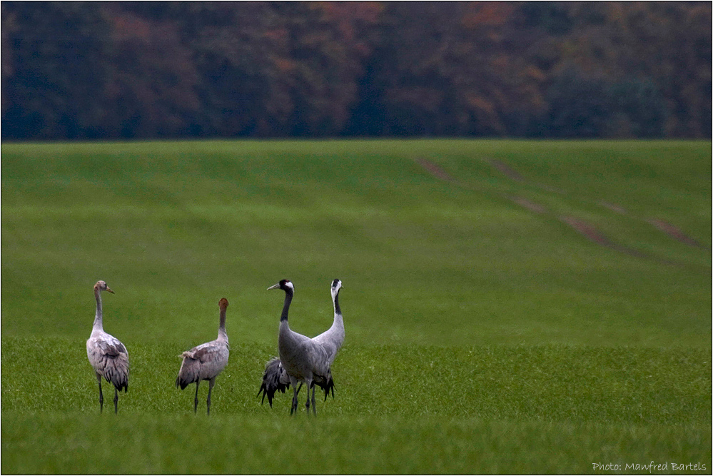 Herbsttreffen...