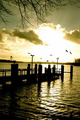 herbsttreiben am See
